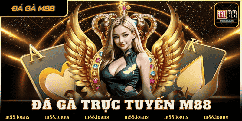 Đá gà trực tuyến – Tham gia vào trận đấu cực hồi hộp